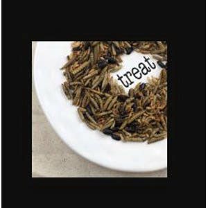 Happy Hen Treats Bug Bonanza Hen Treat, 30 oz