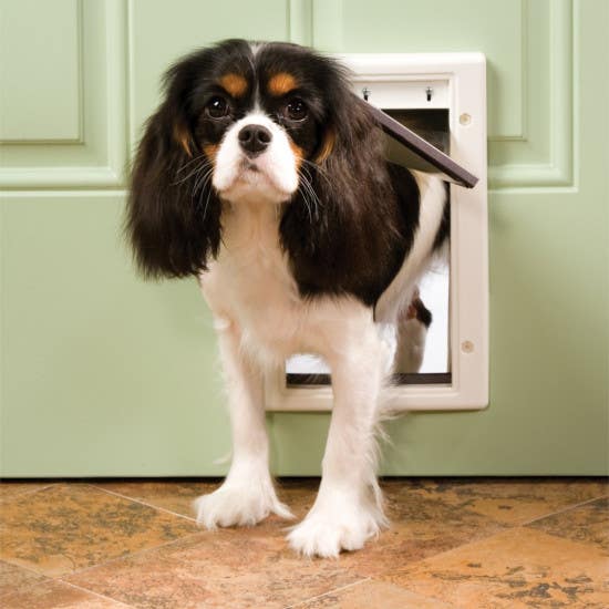 PetSafe Pet Door, Plastic, White, Small