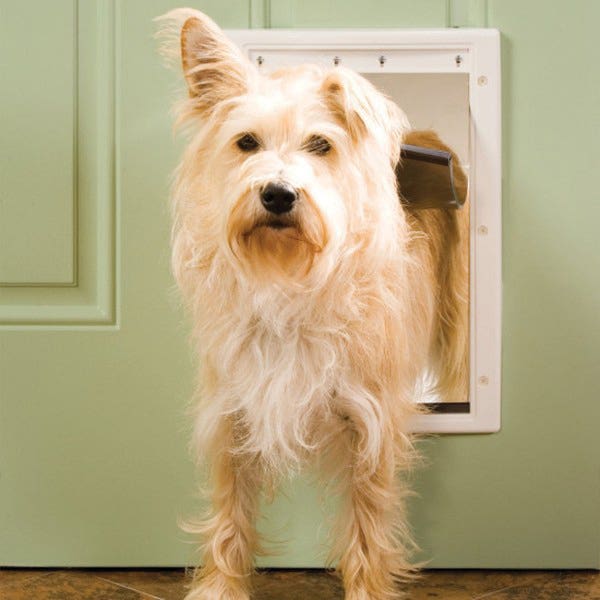 PetSafe Pet Door, Plastic, White, Medium