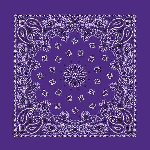 Carolina Traditional Paisley Bandana, Women's, Cotton, Purple