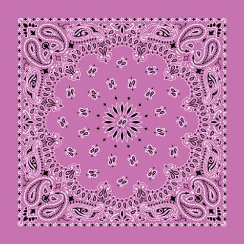 Carolina Traditional Paisley Bandana, Women's, Cotton, Fuchsia