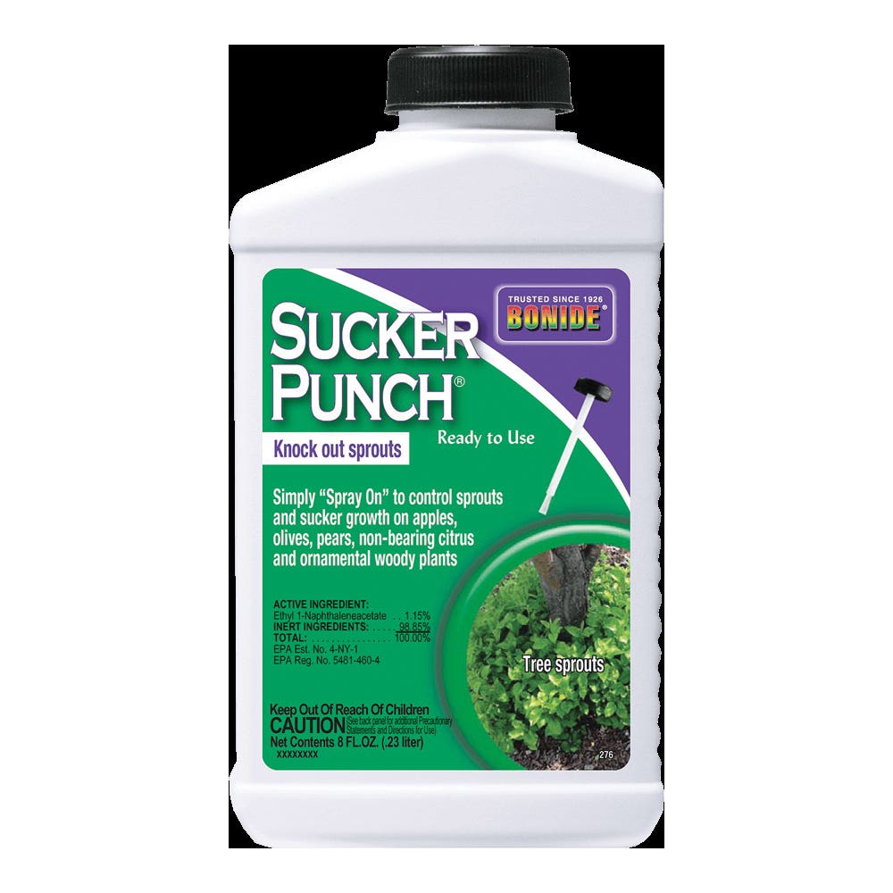 Bonide Sucker Punch Ready-to-Use Plant Growth Regulator, Liquid, Brush, Spray Application, 8 oz Container