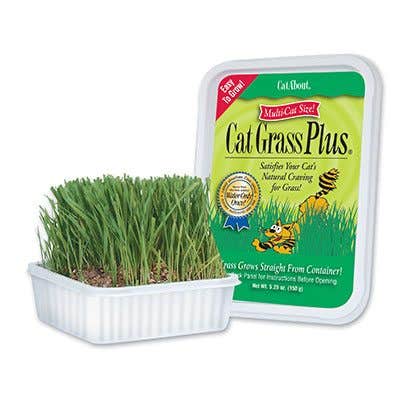 Miracle Care Cat Grass Plus 418736 Cat Grass Tub, 150 g
