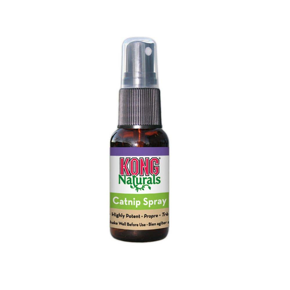 Kong Natural Catnip Spray, 1 oz