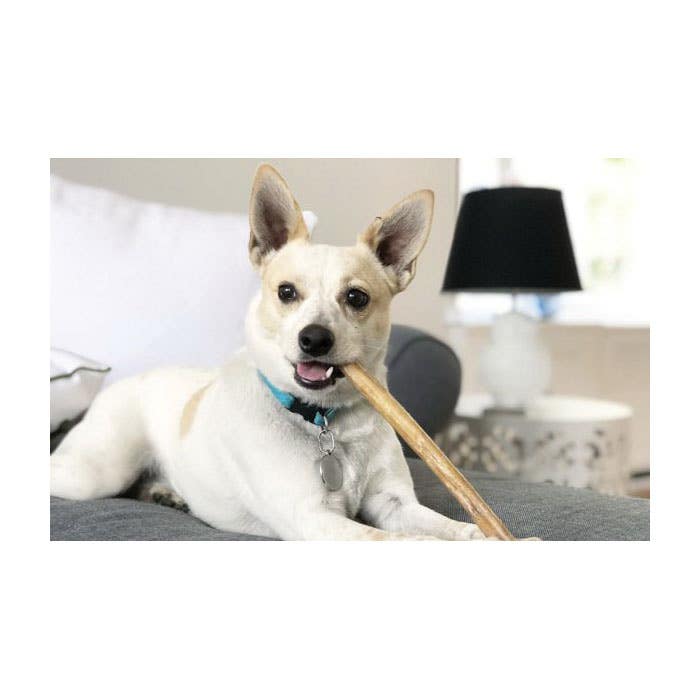 Redbarn Bully Stick, 7 in