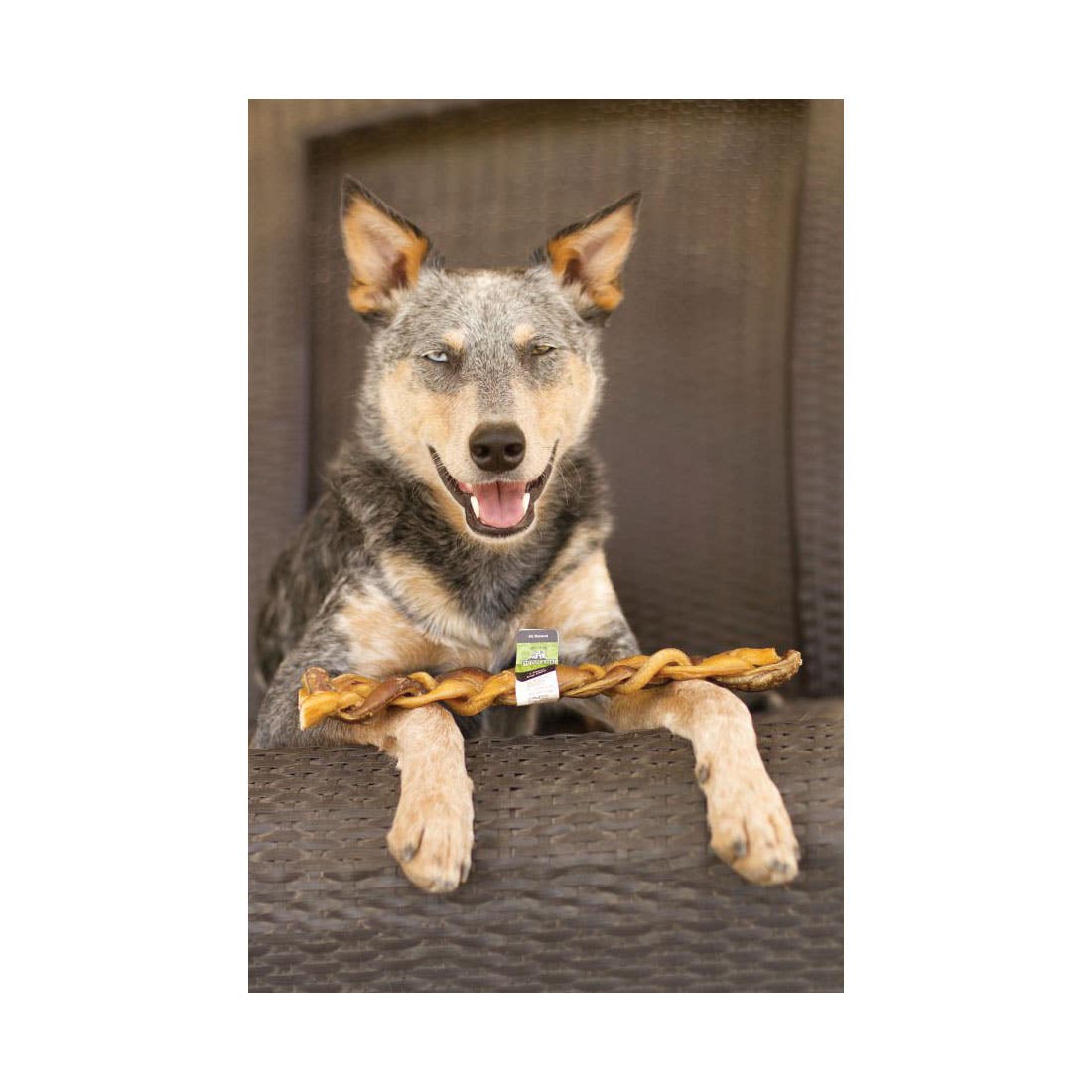 Redbarn Braided Bully Stick, 7 in