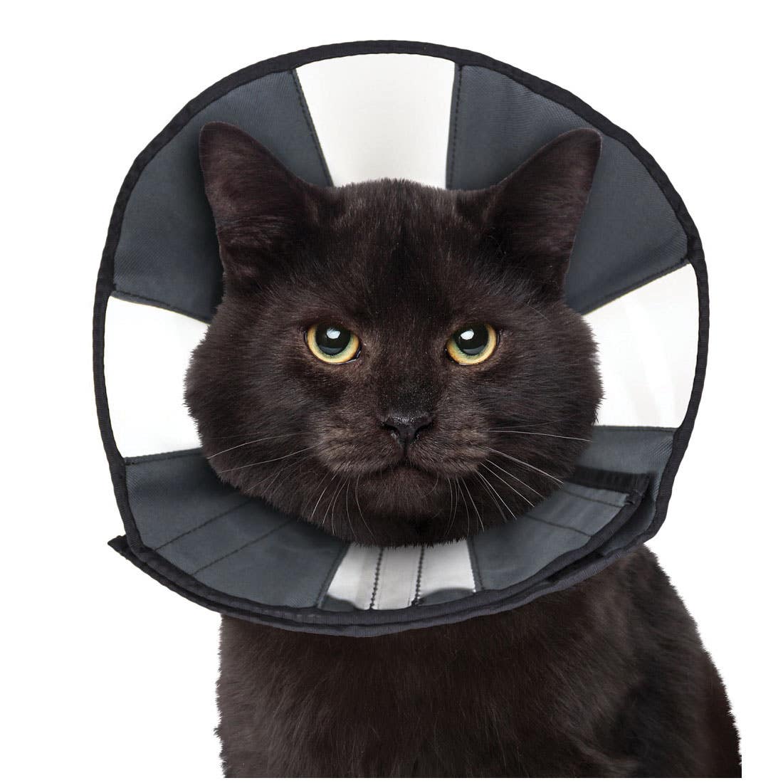 zenpet 5919 Soft Recovery Collar, Cat, Dog