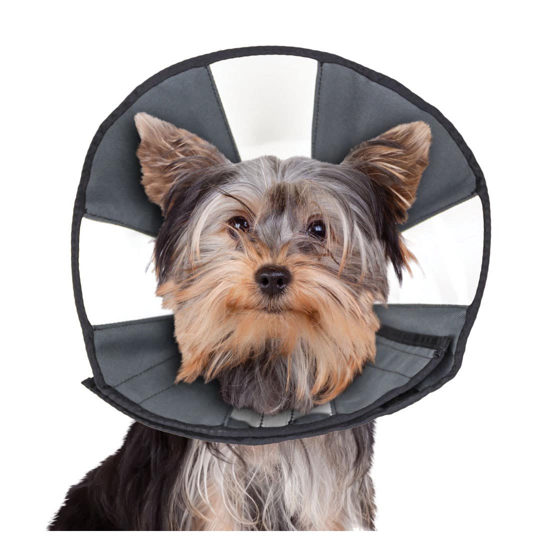 zenpet 5919 Soft Recovery Collar, Cat, Dog