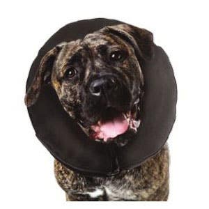 zenpet 5910 Series Inflatable Recovery Collar, Large, Dog, Fabric