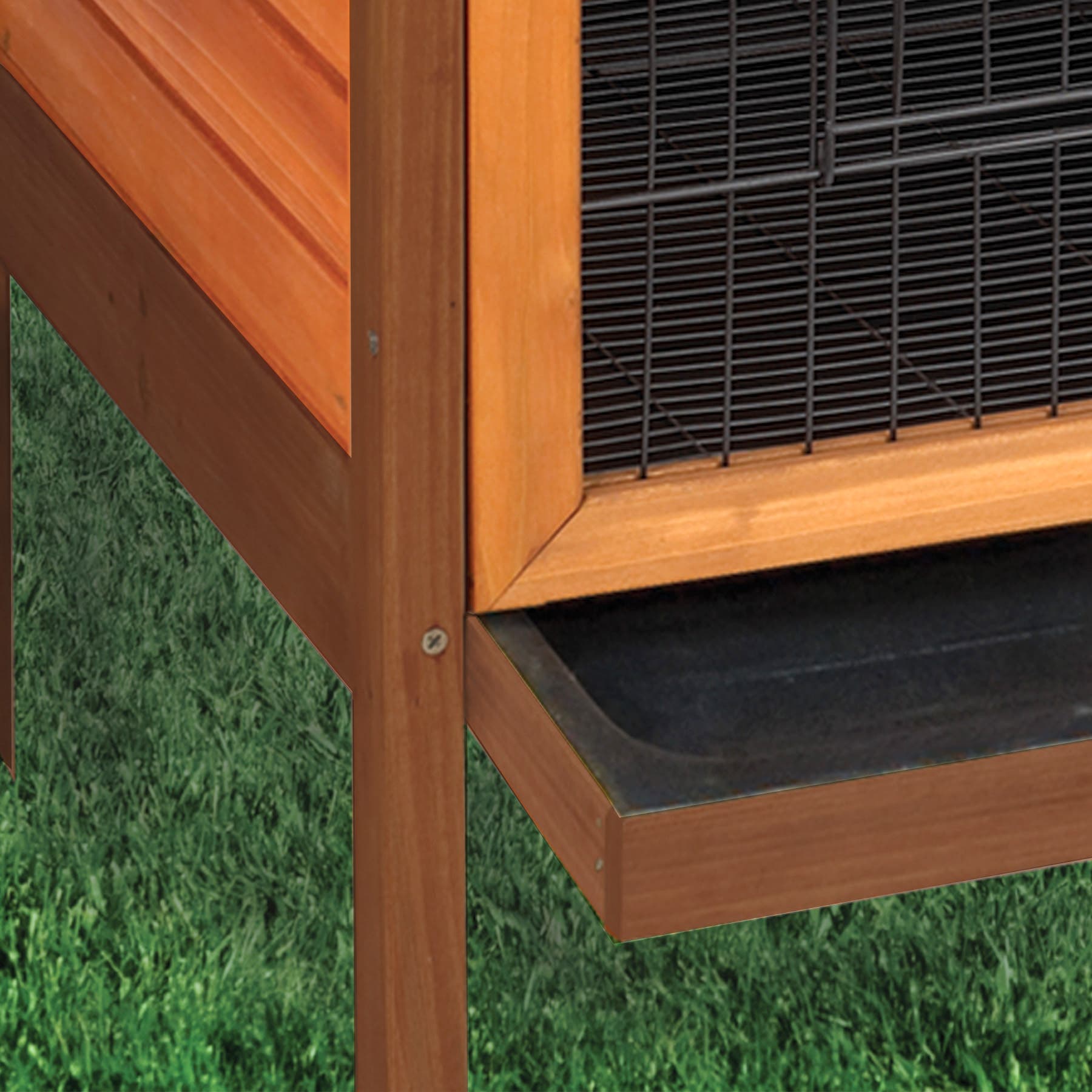 Ware Rabbit Hutch, 36 in W, 24 in D, 34-1/2 in H, M, Wood, Powder-Coated/Satin