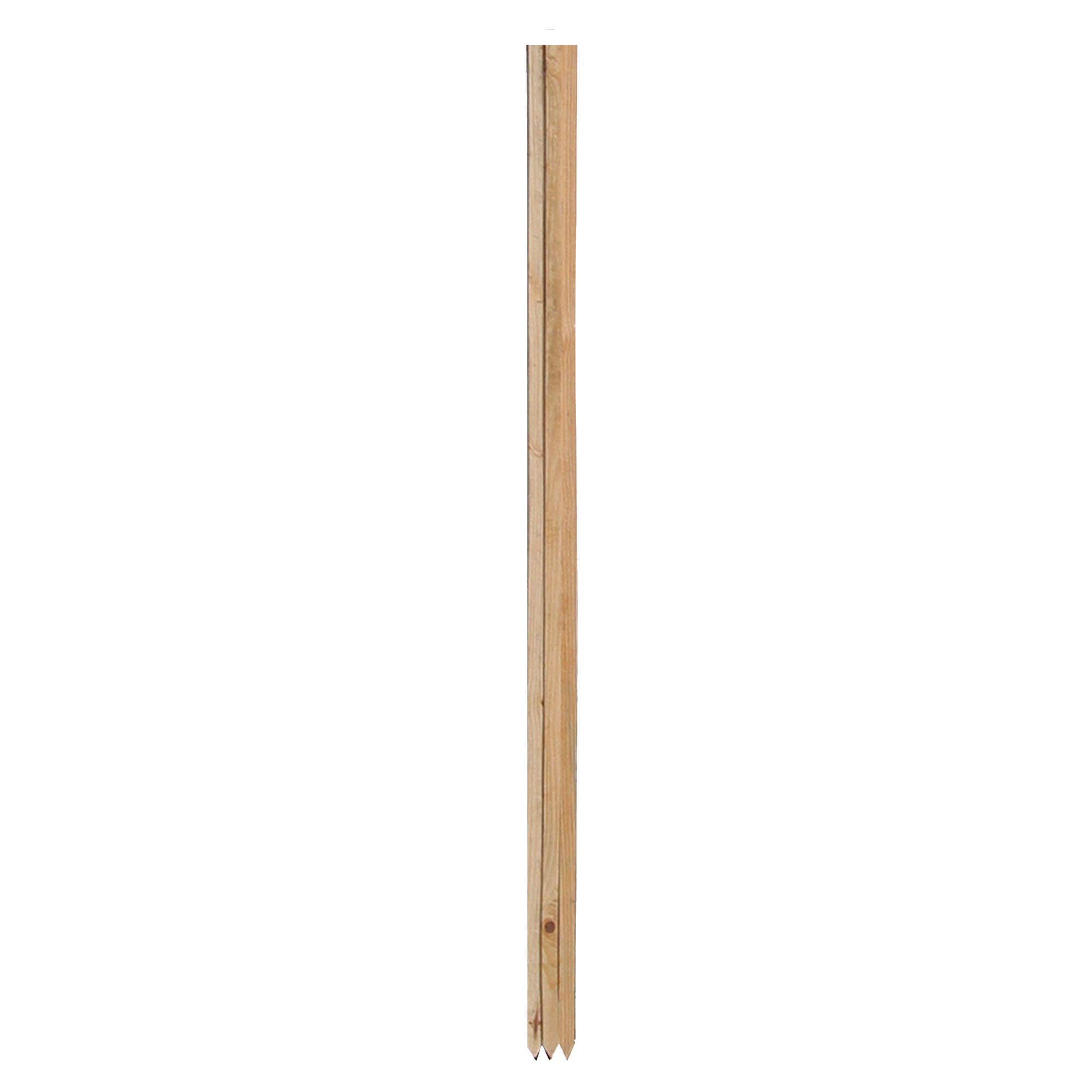 Gardener's Blue Ribbon Garden Stake, 3 ft L, Wood
