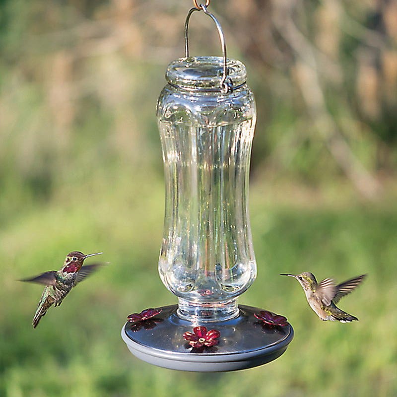 Perky-Pet Bird Feeder, 16 oz, 4-Port/Perch, Glass, Clear, 12 in H, Hanging Mounting