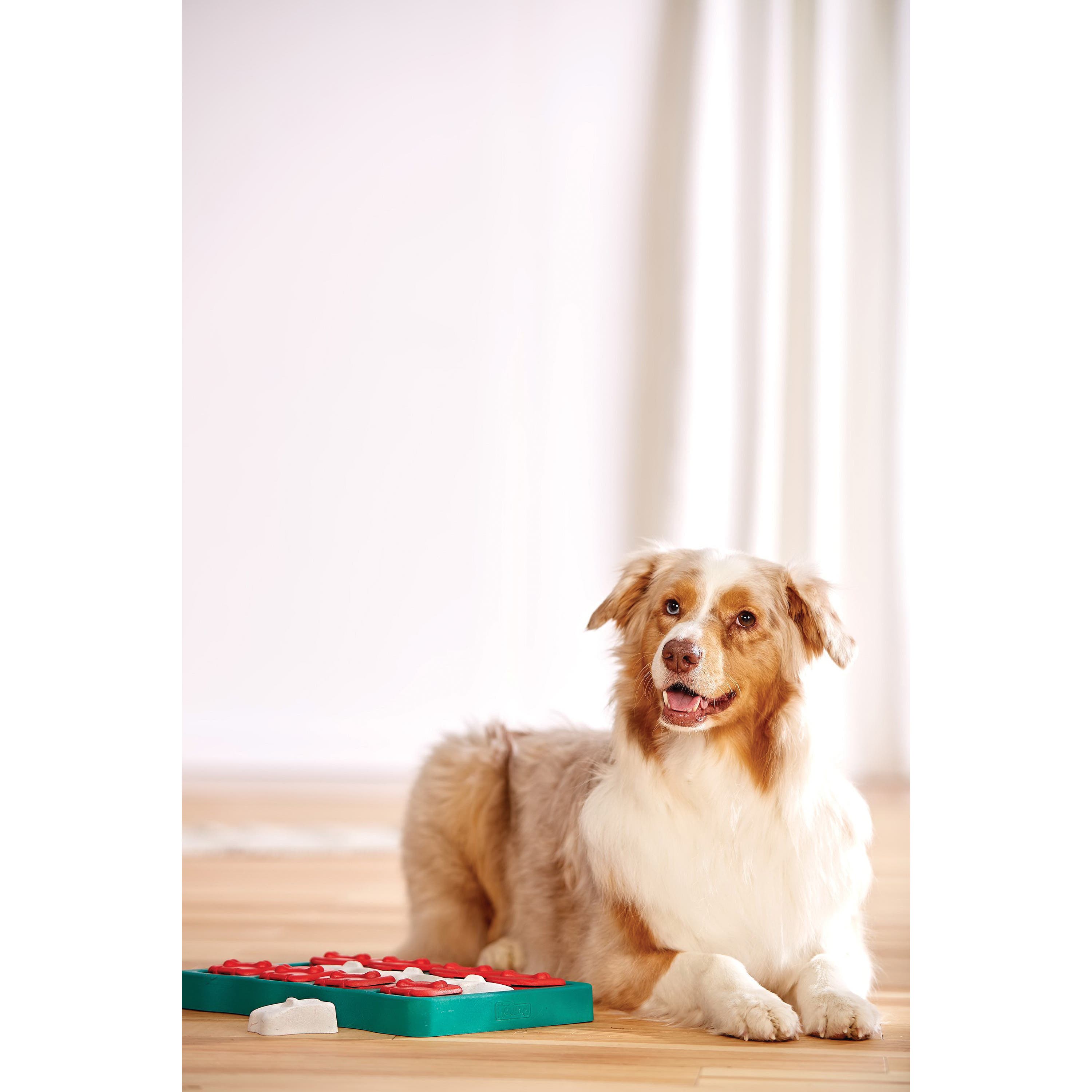 Petstages Dog Toy