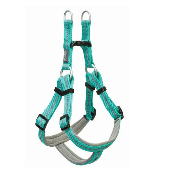 Terrain D.O.G.® Reflective Neoprene Lined Dog Harness, Mint, 16 to 25"
