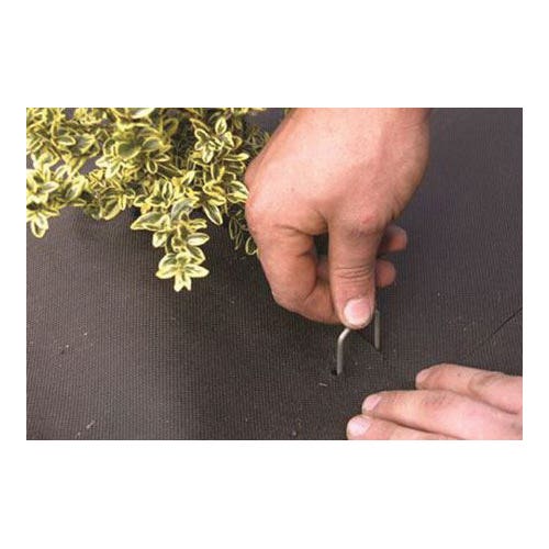DeWitt Anchor Pins Steel 6 in