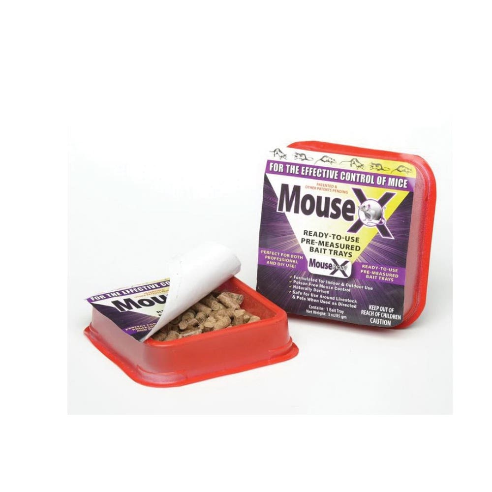 MouseX Ready Bait Tray, Pellet, Odorless, Gray/Tan Pack
