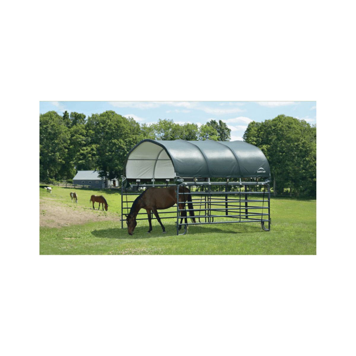 ShelterLogic 12-Ft. Corral Shelter, Green