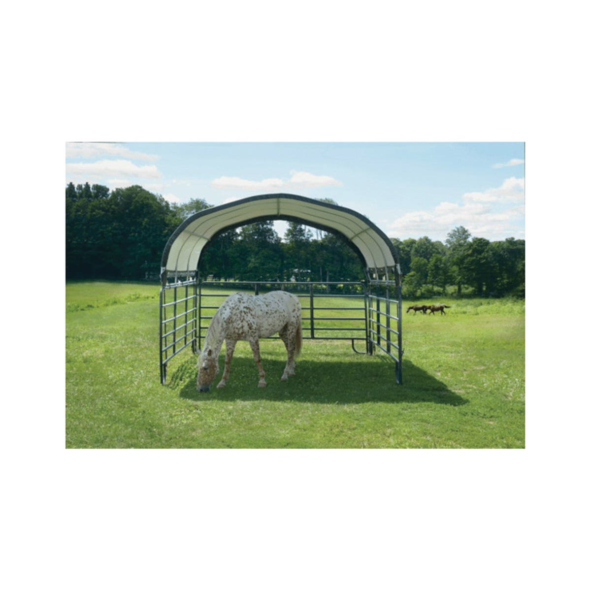 ShelterLogic 12-Ft. Corral Shelter, Green