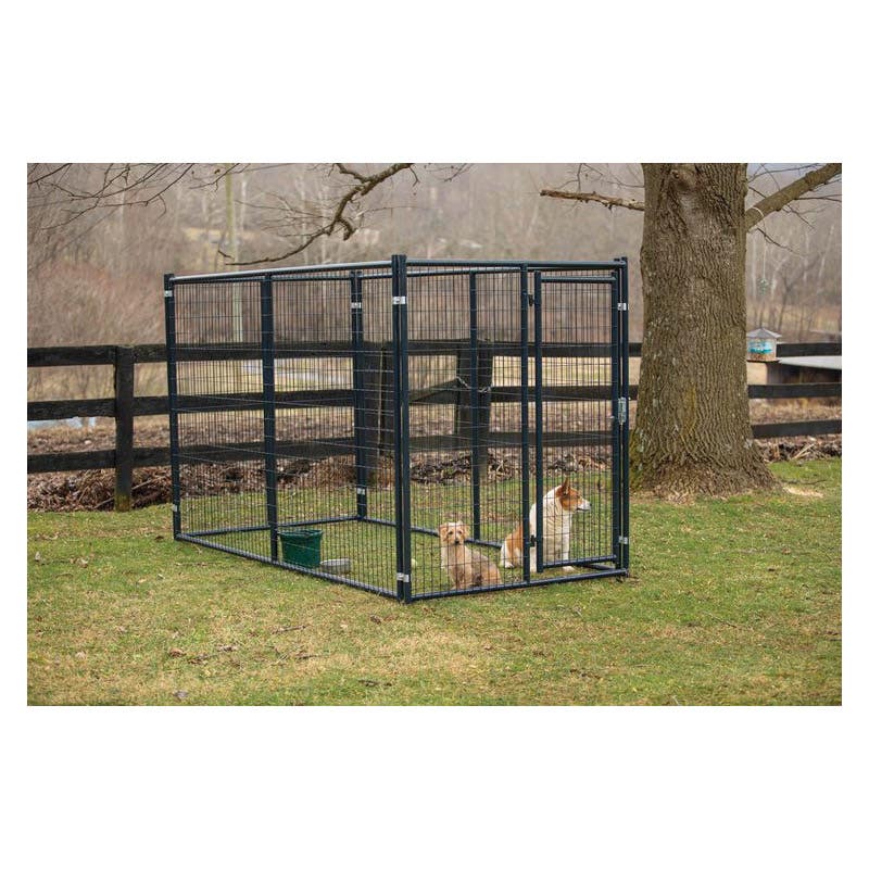 Tarter DKSMDB10 Champion Kennel 10 ft × 6 ft Blue E?Coated Steel