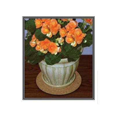 Curtis Wagner Plastics Cork Plant Mat, 10 in Dia, Assorted
