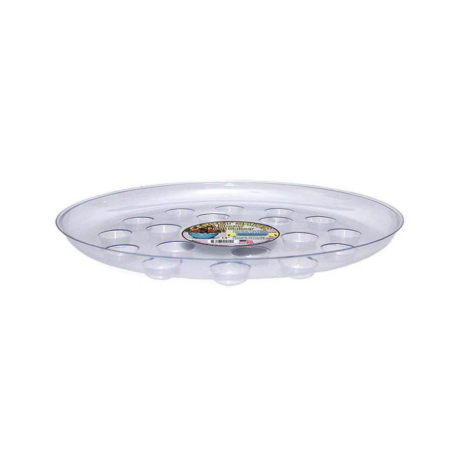 Curtis Wagner Clear Plant Saucer 14 in