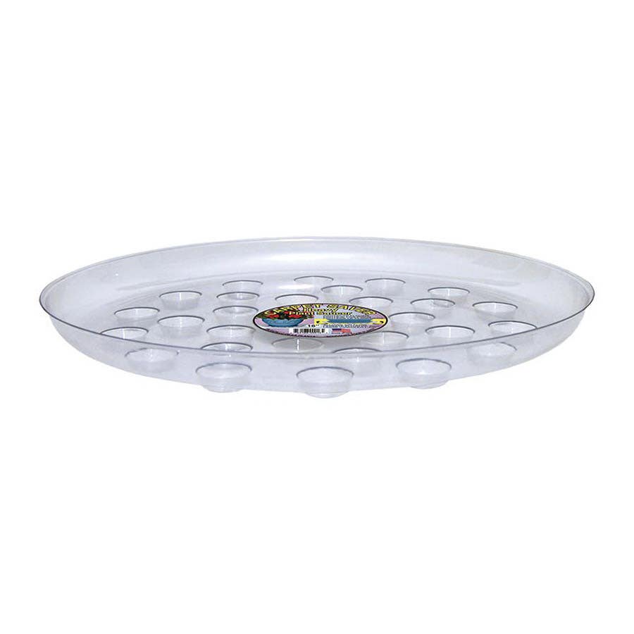 Curtis Wagner Clear Plant Saucer 16 in