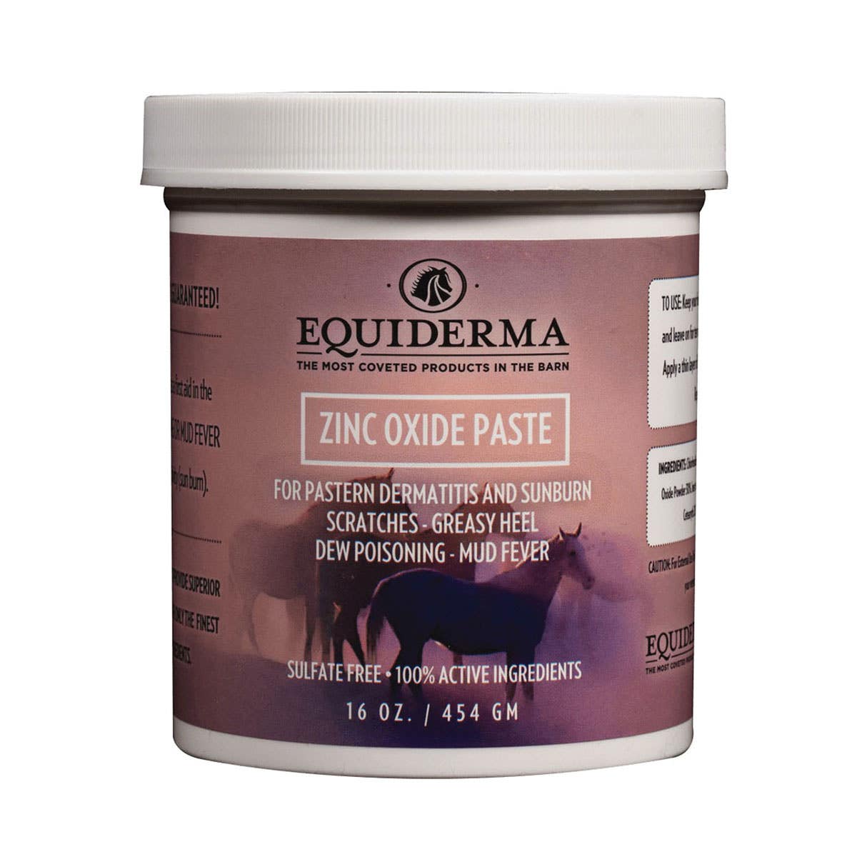 Equiderma TAH004 Wound Care Ointment, 16 oz, Jar