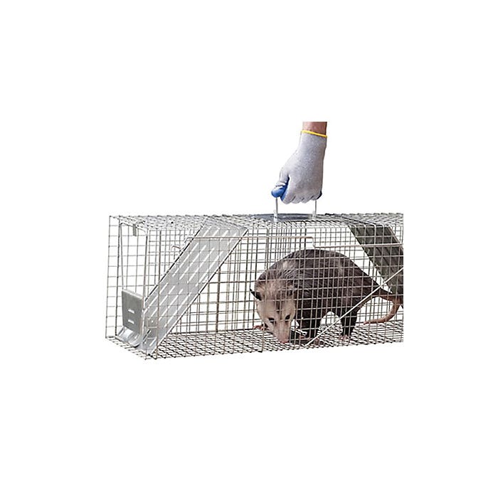 Havahart Large Animal Trap, 36 in L, 10 in W, 12 in H, Spring Loaded Door