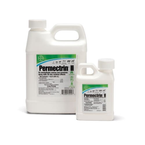 Bayer 311010 Insecticide, Liquid, Oily, 1 qt