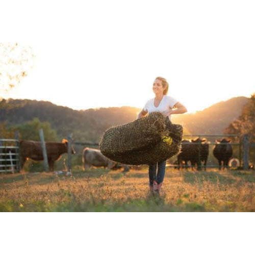 Texas Haynet Bale Hay Net, Square, Nylon