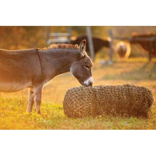 Texas Haynet Bale Hay Net, Square, Nylon