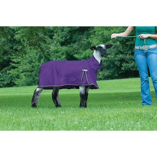 Weaver Leather ProCool Sheep Blanket with Reflective Piping, Mesh, Purple, For: 80 to 120 lb Lambs