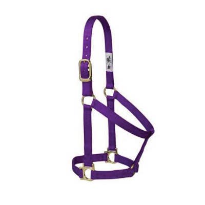 Weaver Leather Non-Adjustable Halter, Average, Nylon, Purple - 835569