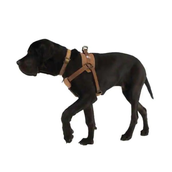 Carhartt Training Harness, M, Fastening Method: Buckle, Nylon Harness, Brown