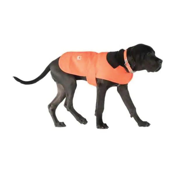Carhartt Dog Chore Coat, Hunter Orange, Large