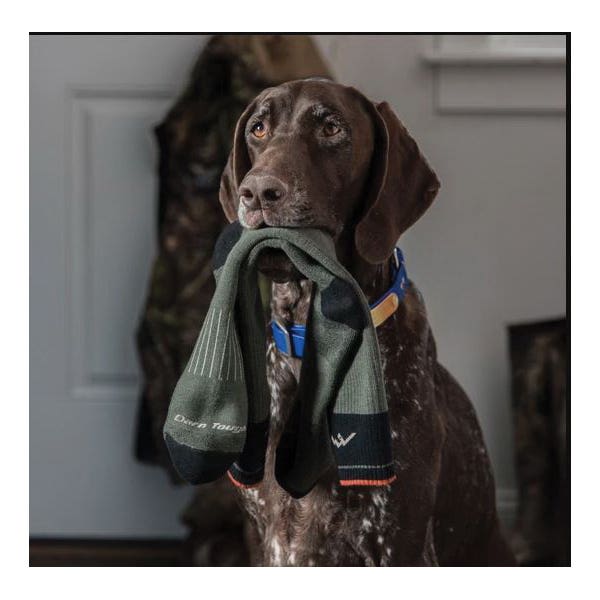 Darn Tough Over-the-Calf Heavyweight Hunting Sock - 921244