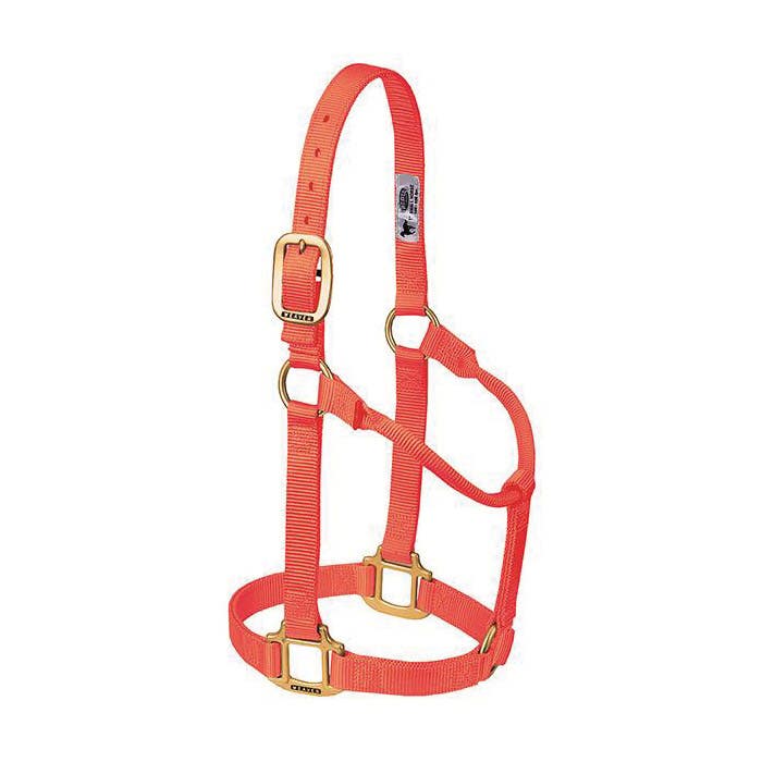 Weaver Leather Non-Adjustable Halter, L, Nylon, Blaze Orange