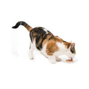 Catit Cat Treat, Chicken and Liver, Salmon, Tuna Flavor, 15 g Tube