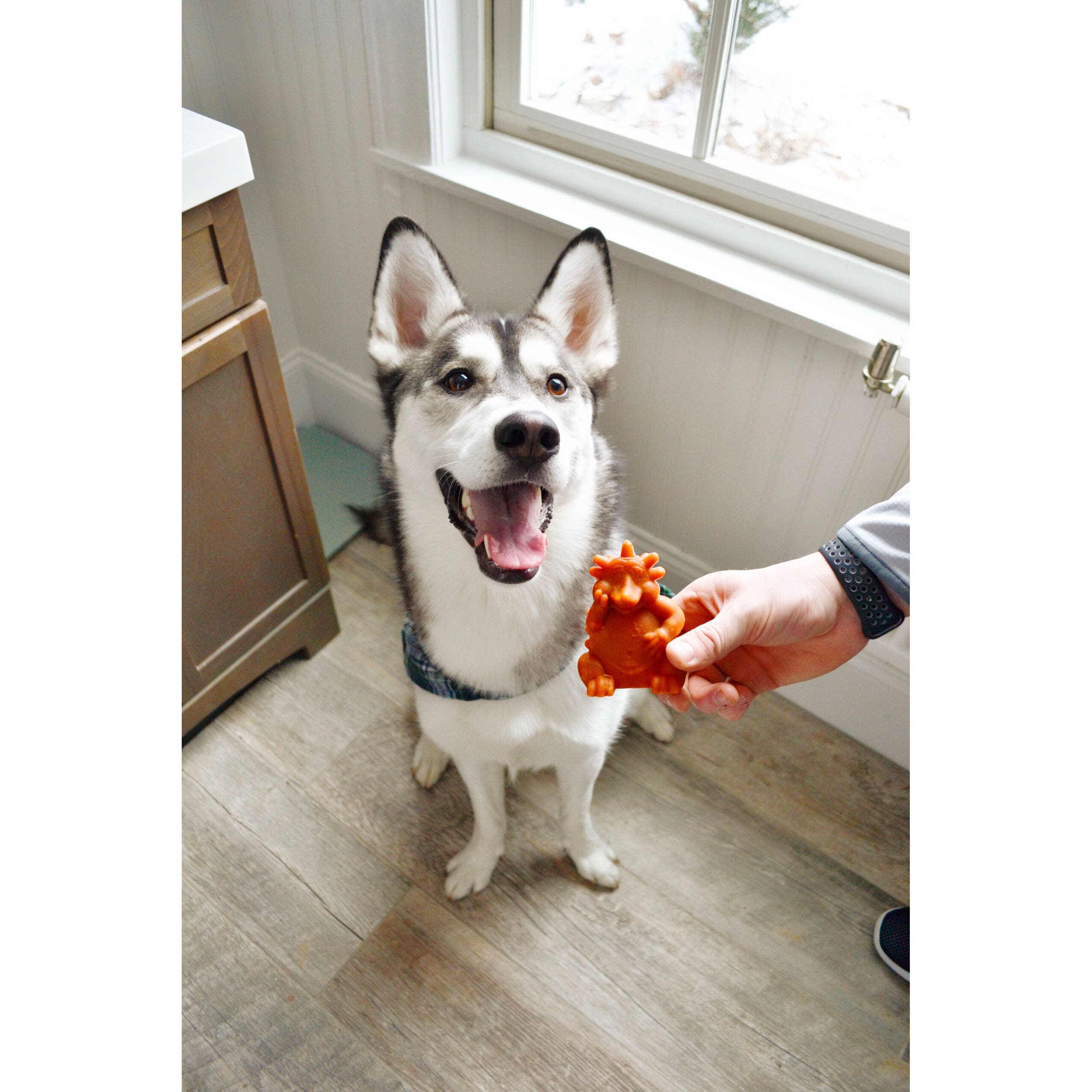 Whimzees Hedgehog Dental Chew Large