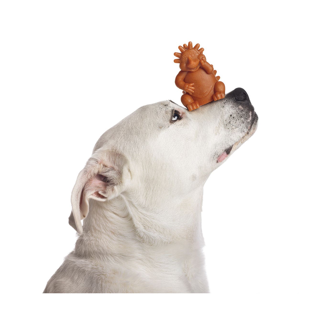 Whimzees Hedgehog Dental Chew Large