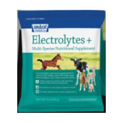 Sav-A-Caf Electrolytes Plus 01-7408-0272 Nutritional Supplement, Powder, 4 oz Packet