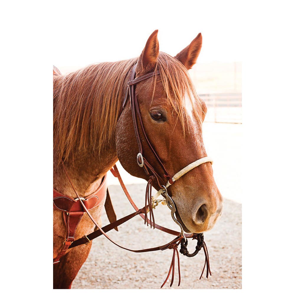 Oxbow Tack Foreman Series Pineapple Knot Roping Rein, 8 ft L, 5/8 in W, Leather