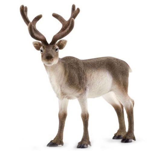Schleich-S Wild Life Series Animal Toy, Reindeer, Plastic
