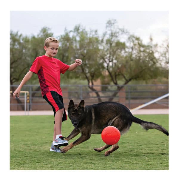 Jolly Pets Dog Toy, Jolly Soccer Ball, Ocean Blue
