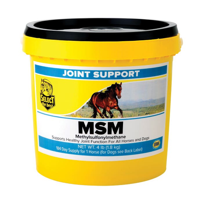 Select The Best MSM Horse Supplement Powder 4 lb