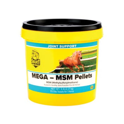 Select The Best Mega MSM Horse Supplement Pellet 5 lb