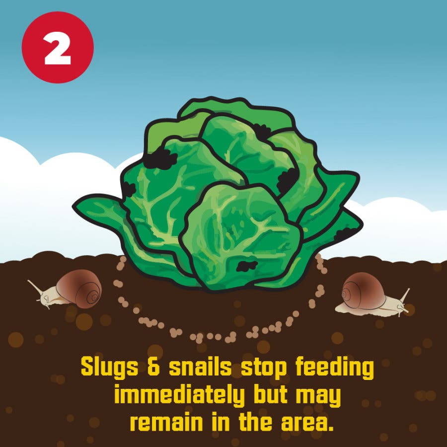 Corry's Slug & Snail Killer 3.5 lb