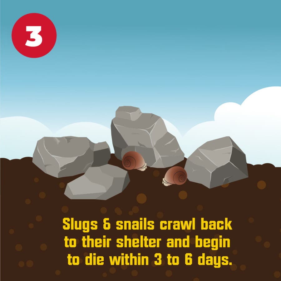 Corry's Slug & Snail Killer 3.5 lb