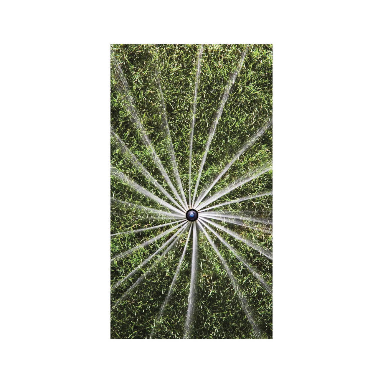Rain Bird 12SARVAPRO Mini Rotor Sprinkler, 3 gpm, 1/2 in Connection, FTP, 4 in H Pop-Up, 13 to 18 ft, Adjustable Nozzle
