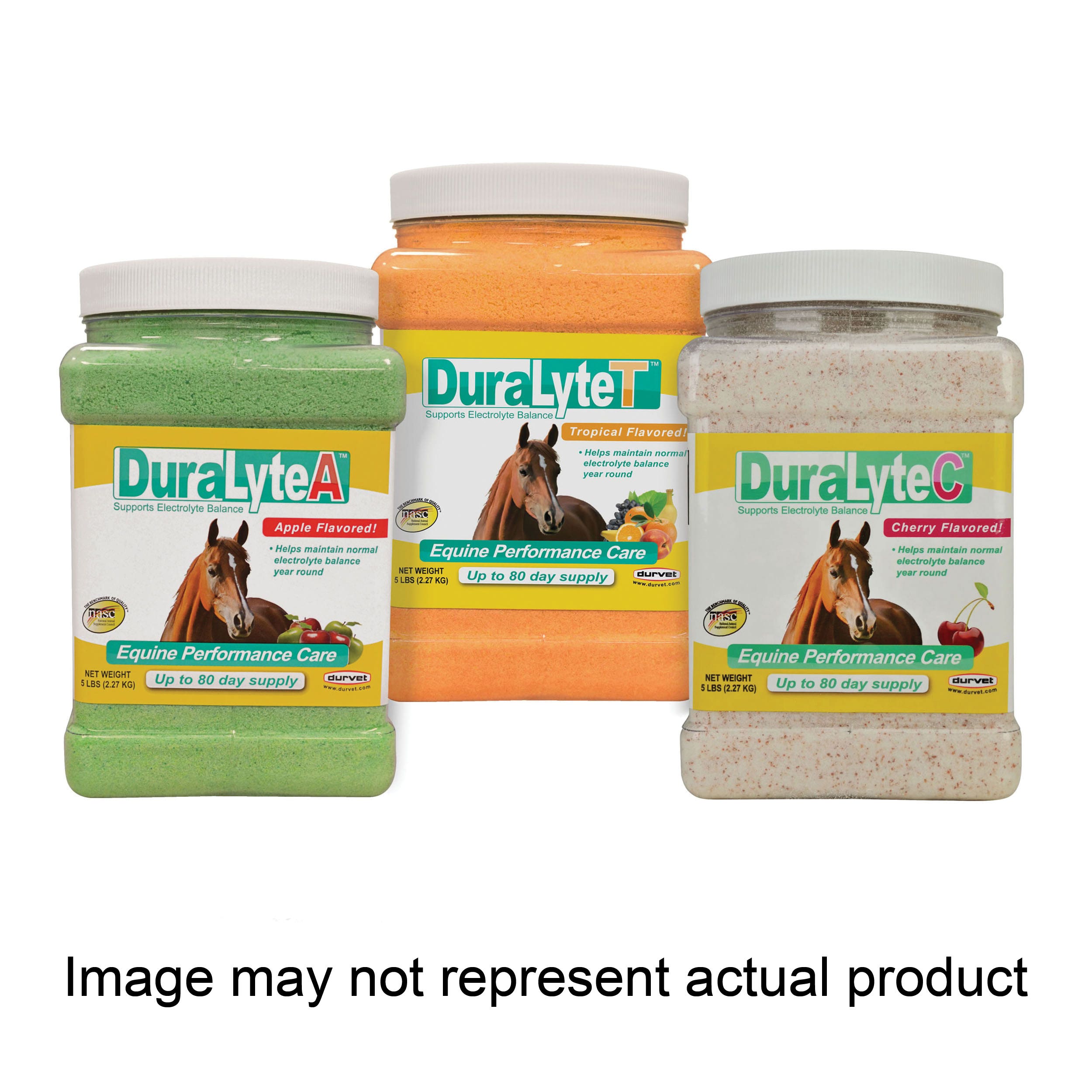 Durvet DuraLyte 01-0705 Horse Supplement, Powder, Tropical Fruit Flavor, 5 lb